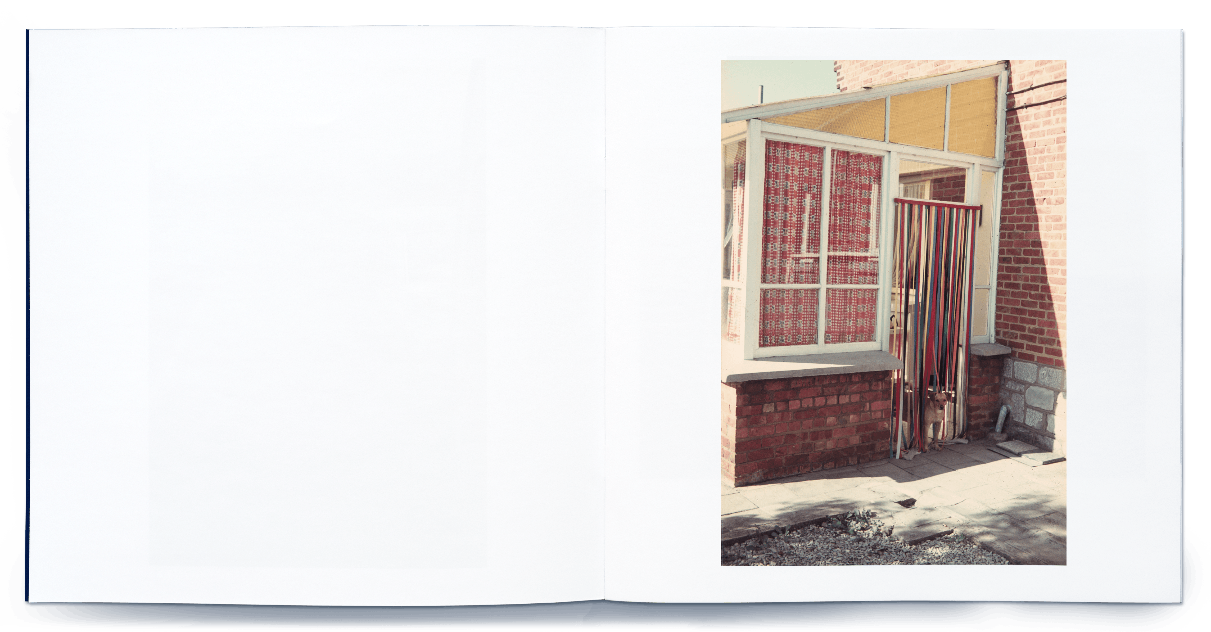 A dog at the door of his house: a slide from bigkkids'zine